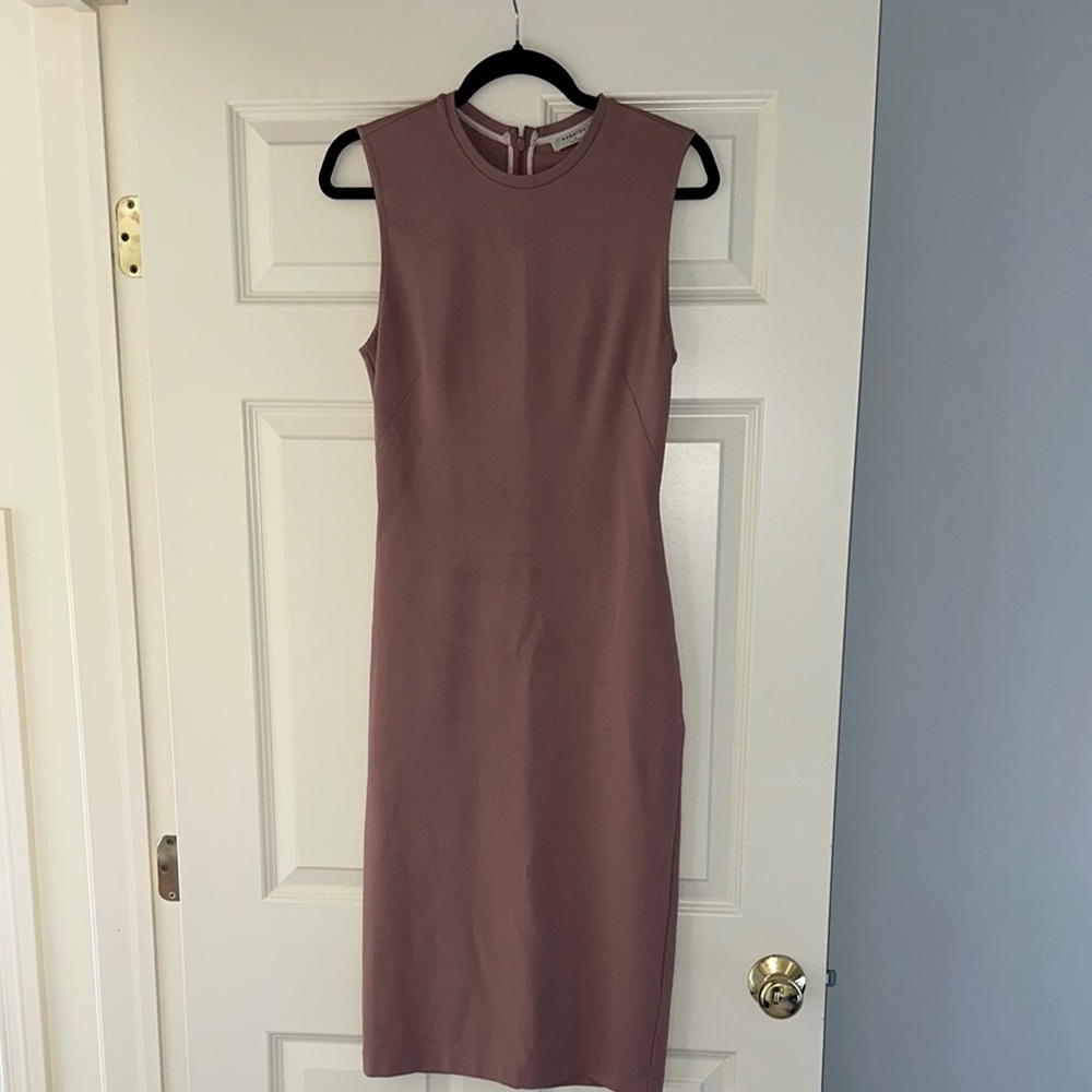 Aritzia Babaton Milton Dress
